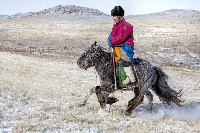 A Mongolian Horseman riding their horse. (Photo by Batzaya Choijiljav/Caters News)