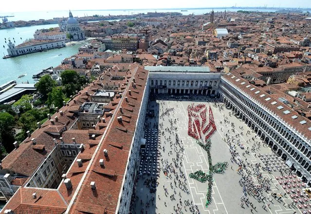 Over one thousand residents of Venice participate in composing this living rosebud in St. Mark square in Venice, on occasion of the “Festa del Bocolo”, a tradition dating  back to the Middle Age, Friday, April 25, 2014. On this day, which is also the day when St . Mark, patron saint of Venice, is celebrated, men traditionally give a rosebud to the women of their family and to their loved one. (Photo by Sebastiano Casellati/AP Photo)