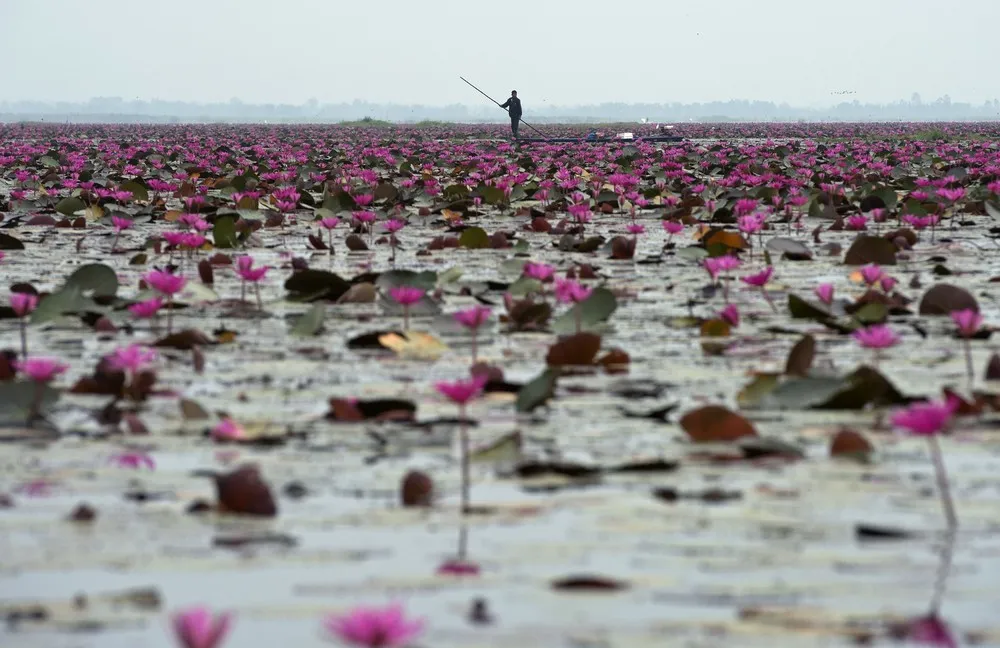 Simply Some Photos: In Flowers