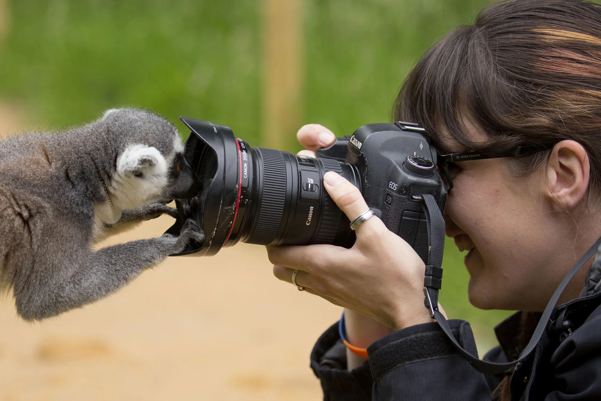 Покажи хорошие интересные. Фотограф в зоопарке. Наблюдение за животными. Фотограф и животные. Фотографирует животных.