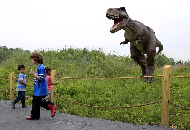 Children watch and react as a T-Rex moves and growls in an inter-active display at Field Station Dinosaurs in Secaucus, N.J on May 25, 2012