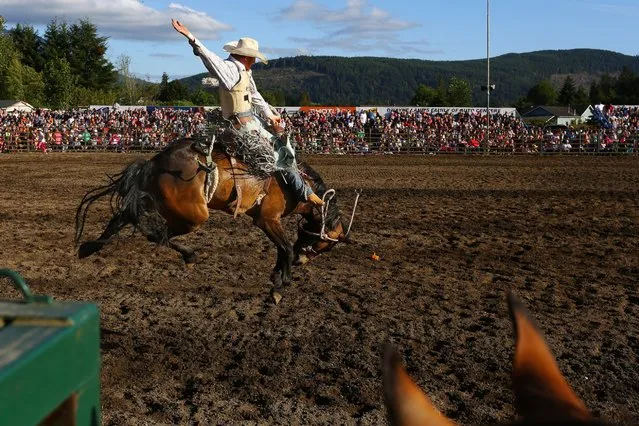 A rider holds on tight during the Saddle Bronc Riding event at the Sedro-Woolley Riding Club Rodeo, July 3, 2016, at the Sedro-Woolley, Washington, rodeo grounds. The rodeo is a part of the annual “World Famous Loggerodeo” held every Fourth of July weekend. (Photo by Genna Martin/Seattlepi.com via AP Photo)