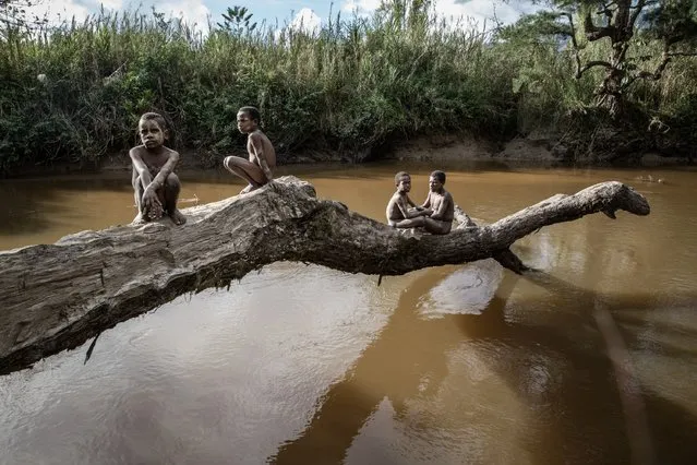 Boys from the Dani tribe sit on a fallen tree over a river at Soroba Village on August 9, 2014 in Wamena, Papua, Indonesia. Photo by Agung Parameswara/Getty Images)