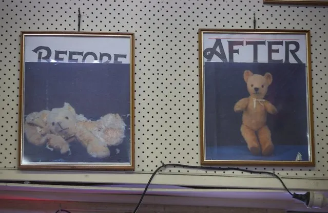 Two photographs hanging on the wall of Sydney's Doll Hospital show the before and after pictures of a teddy bear that had been brought in for repair, June 17, 2014. (Photo by Jason Reed/Reuters)