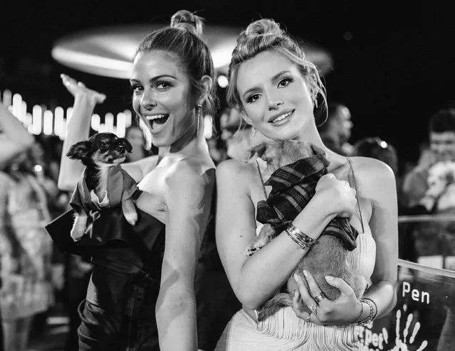 Maria Menounos (L) and Bella Thorne attend the 2015 MTV Video Music Awards at Microsoft Theater on August 30, 2015 in Los Angeles, California. (Photo by Mike Windle/Getty Images for MTV)