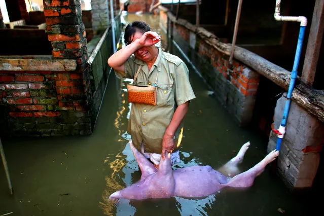 A woman cries as she holds body of a dead pig at a flooded farm in Xiaogan, Hubei Province, China, July 22, 2016. Picture taken July 22, 2016. (Photo by Darley Shen/Reuters)