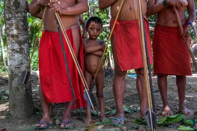 A Waiapi boy stands behind adults at the Pinoty village in Waiapi indigenous reserve in Amapa state in Brazil on October 12, 2017.  They appear silently, seemingly from nowhere: a dozen figures, naked except for bright red loincloths, blocking the dirt road. These are the Waiapi, an ancient tribe living in Brazil's Amazon rainforest but now fearing invasion by international mining companies. Leading AFP reporters to a tiny settlement of palm-thatched huts hidden in foliage, the tribesmen streaked in red and black dye vow to defend their territory. They brandish six-foot (two-meter) bows and arrows to reinforce the point. “We'll keep fighting”, says Tapayona Waiapi, 36, in the settlement called Pinoty. “When the companies come we'll keep resisting. If the Brazilian government sends soldiers to kill people, we'll keep resisting until the last of us is dead”. The Waiapi indigenous reserve is in pristine rainforest near the eastern end of the Amazon river. It is part of a much larger conservation zone called Renca, covering an area the size of Switzerland. Surrounded by rivers and towering trees, the tribe operates almost entirely according to its own laws, with a way of life at times closer to the Stone Age than the 21st century. Yet modern Brazil is barely a few hours' drive away. And now the center-right government is pushing to open Renca to international mining companies who covet the rich deposits of gold and other metals hidden under the sea of green. (Photo by Apu Gomes/AFP Photo)