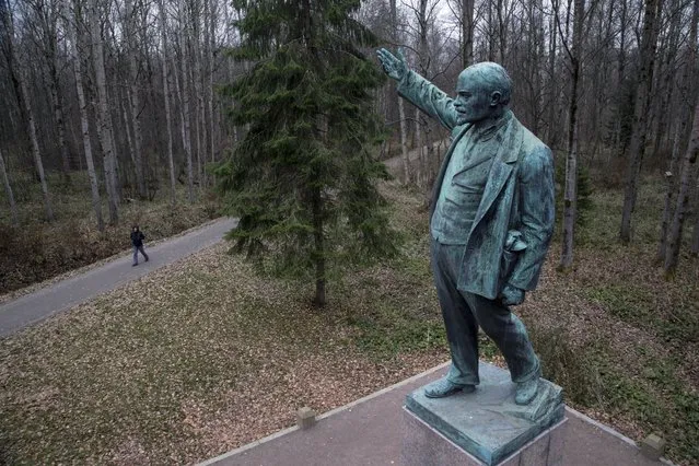 In this photo taken on Friday, October 27, 2017, a statue of Soviet founder Vladimir Lenin stands at the Lenin Hut Museum near Razliv Lake, outside St.Petersburg, Russia. (Photo by Dmitri Lovetsky/AP Photo)