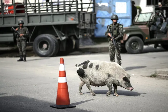 Brazilian military participate in an operation against drug trafficking in Sao Gonçalo, one of the municipalities of the metropolitan region of Rio de Janeiro, Brazil, 07 November 2017. About 3,500 members of the Armed Forces, aided by Navy ships, carried out an operation against drug trafficking and organized crime in several points of this municipality. (Photo by Antonio Lacerda/EPA/EFE)