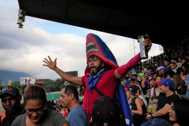 A fan of Tiburones de la Guaira cheers during a baseball game between Leones del Caracas and Tiburones de la Guaira at Venezuela's Winter League baseball season in Caracas, Venezuela, Sunday, Nov. 6, 2022. (Photo by Ariana Cubillos/AP Photo)