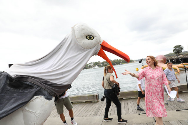 A giant seagull puppet at a media call for Sydney festival’s summer line-up, at Barangaroo in Sydney, Australia on January 4, 2024. (Photo by Richard Milnes/Alamy Live News)
