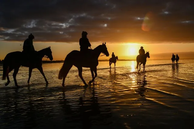 Bec Shanks riding Alligator Blood (2nd L) alongside the Waterhouse and Bott racing team during a beach trackwork session at Altona beach on October 17, 2022 in Melbourne, Australia. (Photo by Vince Caligiuri/Getty Images)