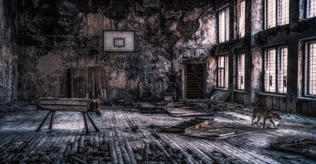 Sports hall in Pripyat. (Photo by Vladimir Mitgutin/Caters News Agency)