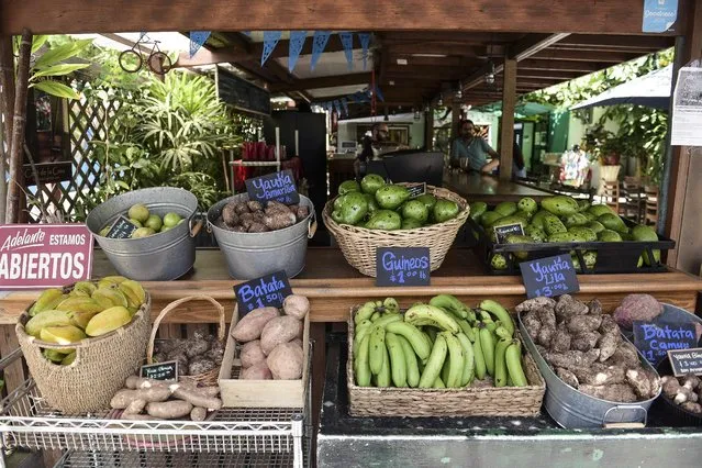 This September 23, 2016 photo shows a produce stand inside El Departamento de la Comida farmers market and organic restaurant that sells locally grown produce in San Juan, Puerto Rico. The most recent statistics from the governor's office show farm income grew 25 percent to more than $900 million from 2012-2014 while the amount of acreage under cultivation rose 50 percent over the past four years, generating at least 7,000 jobs. (Photo by Carlos Giusti/AP Photo)