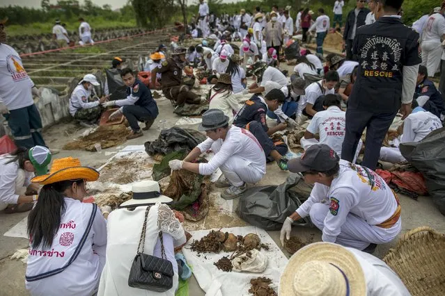 Volunteers clean the remains of unclaimed bodies after the bodies were dug out from a graveyard during a mass exhumation at Poh Teck Tung Foundation Cemetery in Samut Sakhon province, Thailand November 3, 2015. (Photo by Athit Perawongmetha/Reuters)