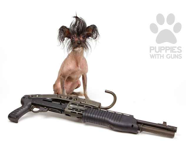 Puppies with guns calendar 2015. (Photo by Ben Haulenbeek)