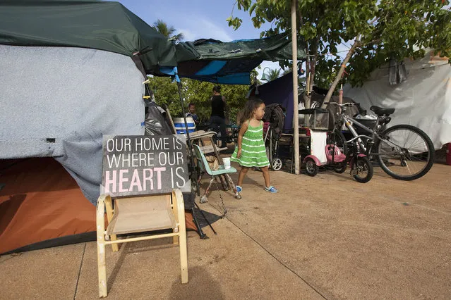 In this August 14, 2015 photo, Thalia Martin, 4, walks outside her tent in the Kakaaako neighborhood of Honolulu. Martin, who lives on the streets with her parents Tabatha and Tracy, had to move from this location when the city cleared the large homeless camp. (Photo by Jae C. Hong/AP Photo)