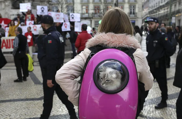 A woman carrying a cat in a backpack stops to watch a demonstration in support of Brazil's former President Luiz Inacio Lula da Silva in Lisbon, Monday, April 9, 2018. Lula da Silva was taken into police custody Saturday, April 7, after the Brazilian Supreme Federal Tribunal ruled against his petition to remain free while he continued to appeal his 12-year sentence for money laundering and corruption. (Photo by Armando Franca/AP Photo)