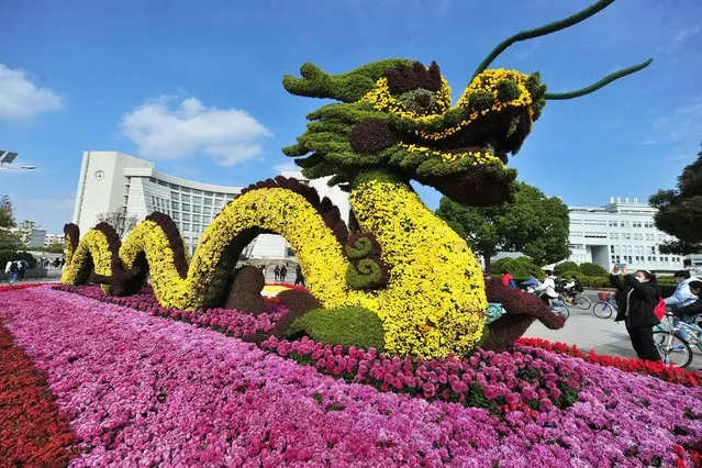 A dragon-shaped chrysanthemum decoration is on display during the 18th Shanghai University Chrysanthemum Festival on December 1, 2020 in Shanghai, China. (Photo by Yang Jianzheng/VCG via Getty Images)