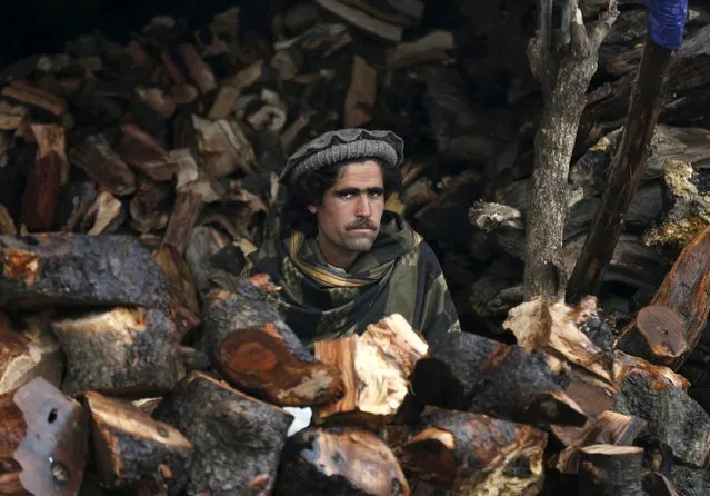 A vendor waits for customers at his firewood stall in Kabul, Afghanistan November 12, 2015. (Photo by Mohammad Ismail/Reuters)