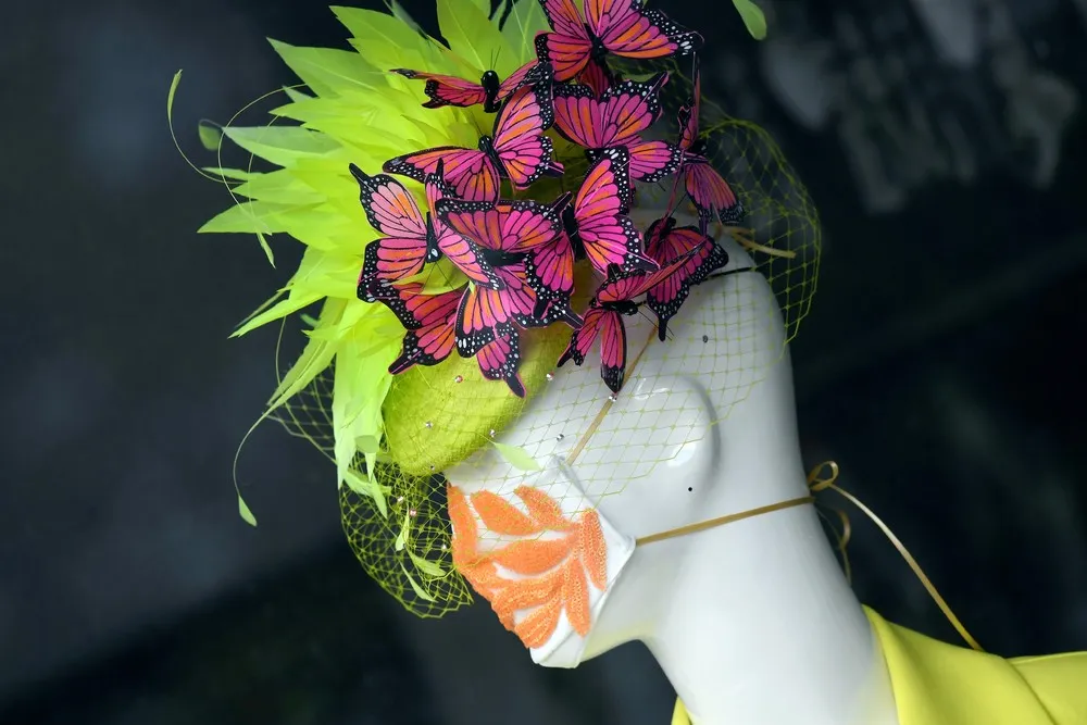 Pictures of the Year 2020, Part 35/82