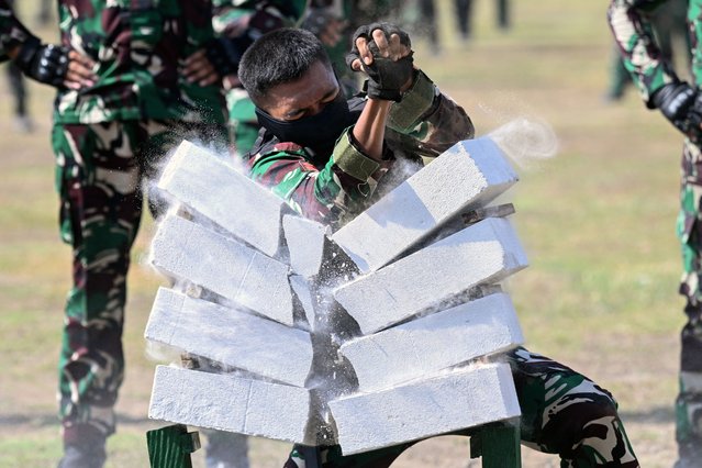 A soldier demonstrates his martial arts skills during an event marking the 79th anniversary of the Indonesian National Armed Forces (TNI) in Denpasar, Indonesia's Bali island on October 5, 2024. (Photo by Sonny Tumbelaka/AFP Photo)