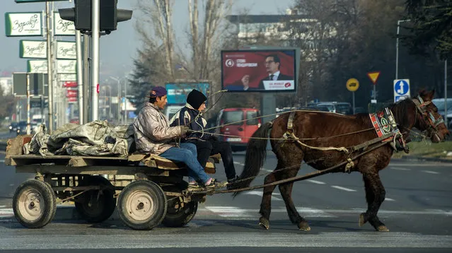 Two young Roma boys ride a horse wagon in front of the election poster of the leading opposition SDSM candidate for election unit 1, Stevo Pendarovski, in Skopje, The Former Yugoslav Republic of Macedonia, 08 December 2016. Macedonia is one of the rear European countries in which the Roma people have their political parties and representatives in the parliament and also a major in one of Skopje's municipalities. Macedonia will hold early parliamentary elections on 11 December 2016. (Photo by Georgi Licovski/EPA/EFE)