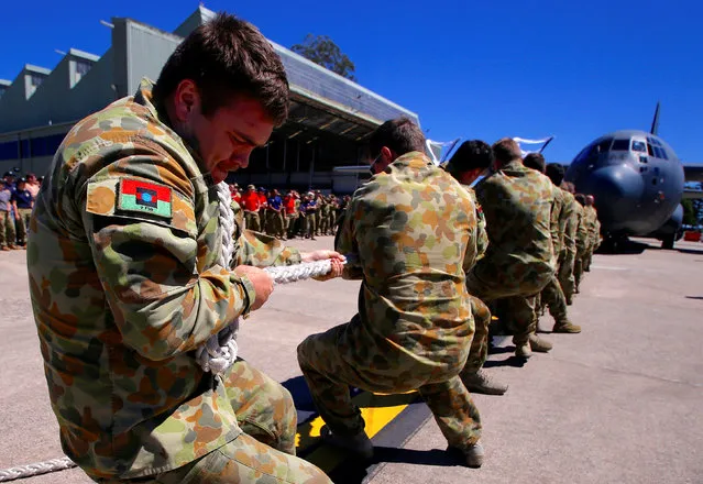 Members of the Australian Army participate in the Tri-service Herculean Challenge, which involves teams of Australian Defence Force personnel pulling a C-130J Hercules aircraft weighing over 40 tonnes over a distance of ten meters in the fastest time, at the Royal Australian Air Force (RAAF) Base in Richmond, located west of Sydney, Australia, November 24, 2016. (Photo by David Gray/Reuters)