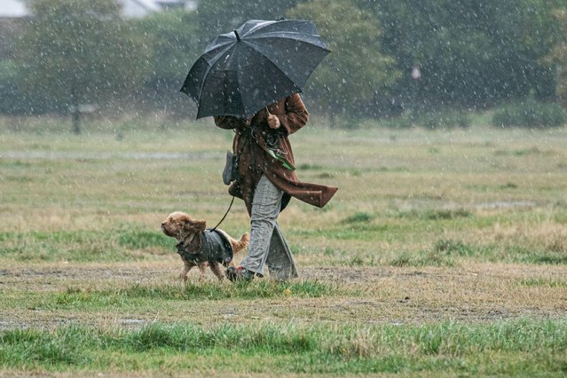 A woman walking with a dog battles through heavy rain and blustery conditions during the morning on Wimbledon Common in London on October 2, 2020 as storm Alex brings strong 70mph gale force winds to many parts of the UK. (Photo by Amer Ghazzal/Alamy Live News)