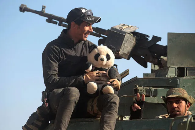 An Iraqi Shiite fighter from the Hashed al-Shaabi (Popular Mobilisation) paramilitaries holds a stuffed panda bear as they deploy in a desert area near the village of Tall Abtah, southwest of Mosul, on November 28, 2016 during a broad offencive by Iraq forces to retake Mosul from jihadists of the Islamic State group. (Photo by Ahmad Al-Rubaye/AFP Photo)