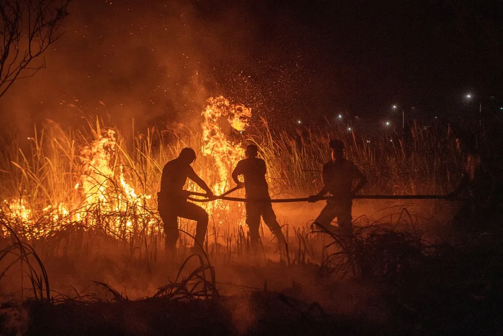 A Look at Life in Indonesia