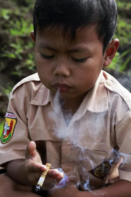 Dihan smoking at the paddy rice farm near his house. The Garut native smokes up to three packs of cigarettes a day. (Photo by Rezza Estily/JG Photo)