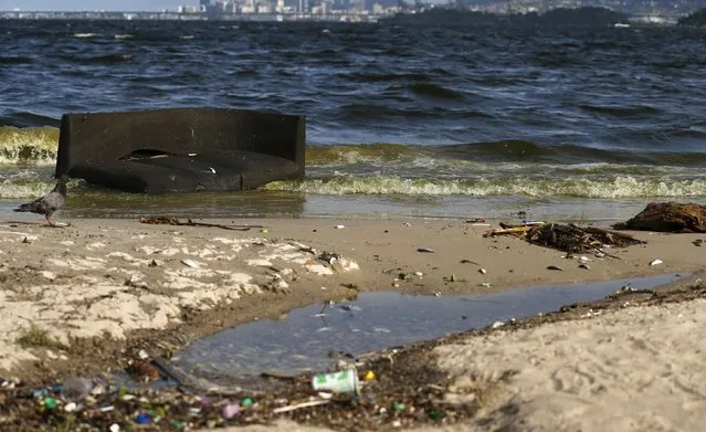 A sofa is pictured in the Sao Bento beach at Guanabara Bay, which receives waters from polluted rivers in Rio de Janeiro March 20, 2015. (Photo by Sergio Moraes/Reuters)