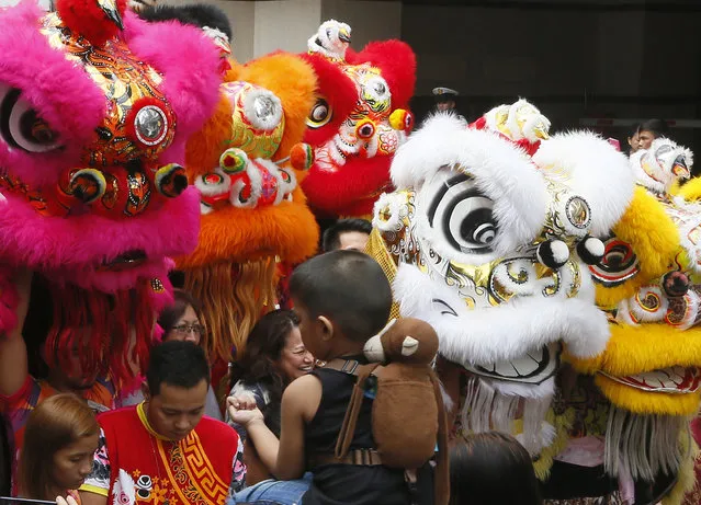 A boy wears a monkey backpack as lion dancers make their way through a narrow street to perform at business establishments on the eve of Chinese Lunar New Year celebrations, Sunday, February 7, 2016, in Manila's Chinatown district in the Philippines. (Photo by Bullit Marquez/AP Photo)