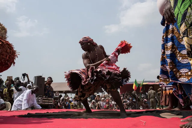A Vodoo devotee dressed up in a costume performs at the annual Voodoo Festival on January 10, 2017 in Ouidah. Officially declared a religion in Benin in 1996, Voodoo and the Voodoo festival attracts thousands of devotees and tourists for a day filled with ritual dances and gin drinking. Benins voodoo festival is held every year and is the West African countrys most vibrant and colourful event. (Photo by Stefan Heunis/AFP Photo)