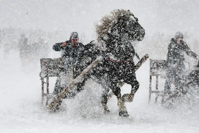 A participant of a horse-drawn sleigh race drives his sleigh through the snow in Rinchnach, southern Germany, on January 15, 2017. (Photo by Armin Weigel/AFP Photo/DPA)