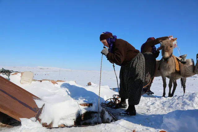 A woman draws water from a well 2 kilometres away from her village, which has no access to fresh water, in Siverek, a town in Sanliurfa province, Turkey February 2, 2017. (Photo by Sertac Kayar/Reuters)