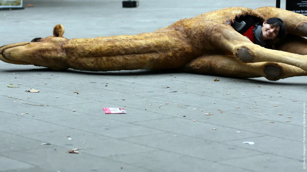 Replica Of Bear Grylls' Former Camel Carcass Residence