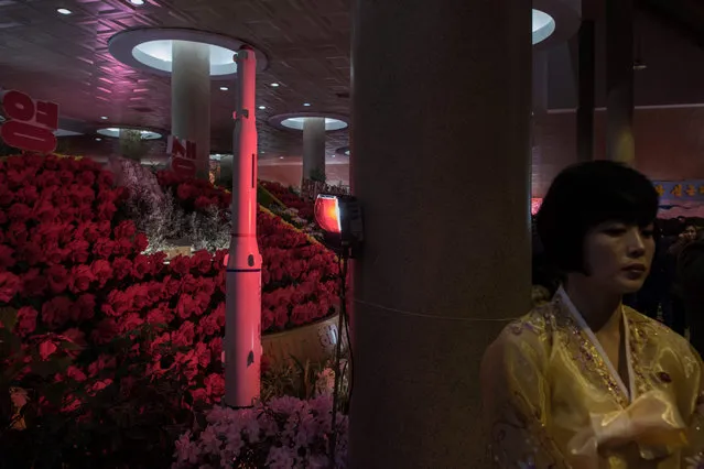 A rocket (L) is displayed behind a hostess at a flower show celebrating the 75 th anniversary of the birth of Kim Jong- Il in Pyongyang on February 17, 2017 Around 700,000 people are expected to cram into the exhibition hall in Pyongyang over seven days, and its passages were packed on February 17 as soldiers and civilians made their way past the displays, many in jovial mood. (Photo by Ed Jones/AFP Photo)