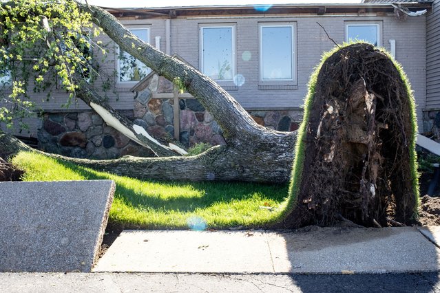 A view shows an uprooted tree and a sidewalk in front of a church after a tornado hit the area of Portage, Michigan on May 8, 2024. (Photo by Emily Elconin/Reuters)