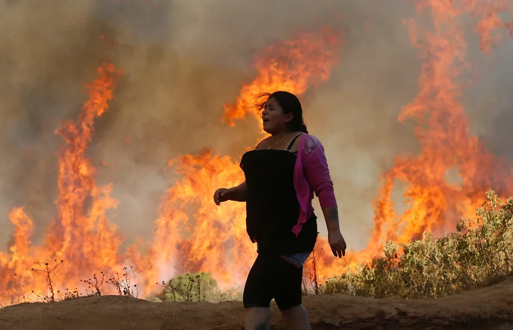 Chile's Devastating Wildfires