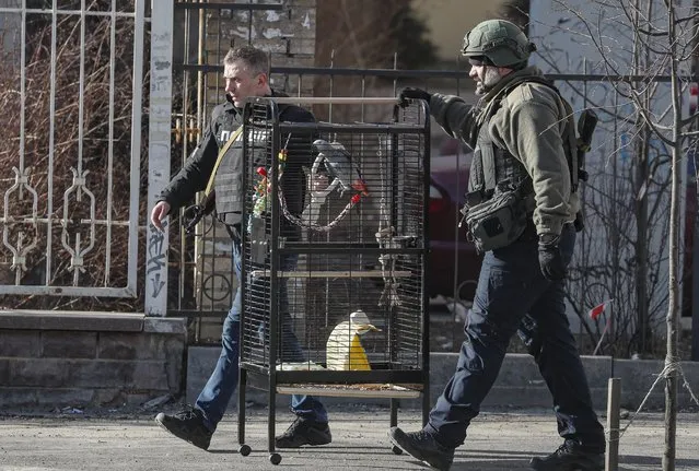 Ukrainian policemen evacuate parrots after a high-rise apartment block was damaged by shelling in Kiev, Ukraine, 26 February 2022. Russian President Vladimir Putin announced a 'special military operation' in the Donbass with the aim, as he put it, of demilitarizing and denazifying Ukraine, as well as bringing to justice those who committed numerous bloody crimes against civilians. Martial law has been introduced in Ukraine, explosions are heard in many cities, including Kiev. (Photo by Sergey Dolzhenko/EPA/EFE)