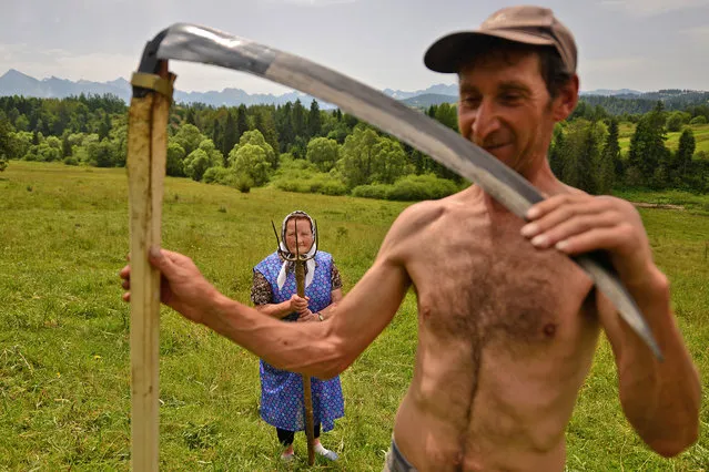 Merit: Highlanders. Traditional haymaking in Poland. Many people continue to use the scythe and pitchfork to sort the hay. (Photo and caption by Bartłomiej Jurecki/National Geographic Traveler Photo Contest)