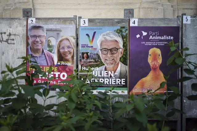 A campaign poster of the French Animalist Party is displayed next to other candidates posters, in Lyon, central France, Tuesday, June 7, 2022. The legislative elections will take place on June 12 and 19, 2022. (Photo by Laurent Cipriani/AP Photo)