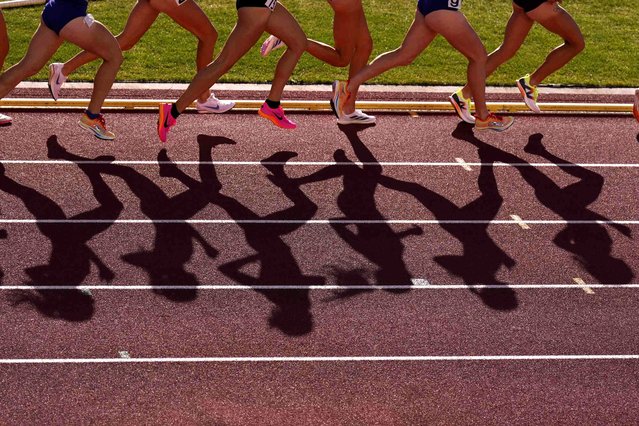 Runners compete in a heat women's 5000-meter run during the U.S. Track and Field Olympic Team Trials Friday, June 21, 2024, in Eugene, Ore. (Photo by George Walker IV/AP Photo)