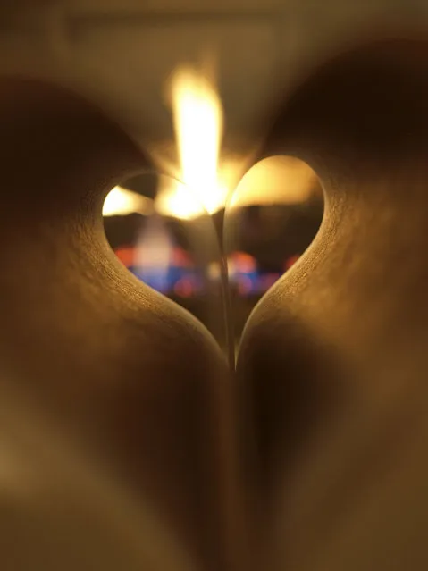 Burning love (of books?)