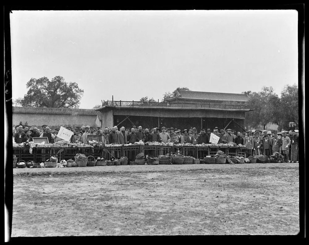 China 1917–1919 by Sidney David Gamble