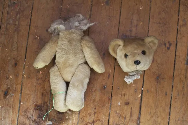 A teddy bear in two pieces is pictured on the workshop floor at Sydney's Doll Hospital, August 19, 2014. Opened in 1913, Sydney's Doll Hospital has worked on millions of dolls, teddy bears and other toys. Behind a toy shop on a busy suburban street in Sydney's south, “doll surgeons” transplant fingers, toes and heads, and repair broken eye sockets in dolls who were the victim of a childhood tantrum or sibling rivalry, sometimes decades ago. (Photo by Jason Reed/Reuters)