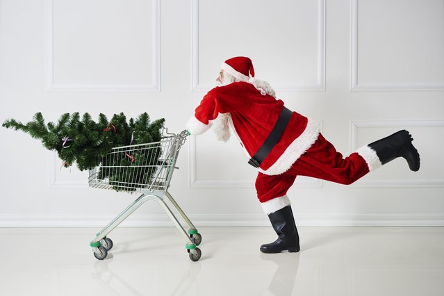 Santa Claus transporting Christmas tree in a shopping cart. (Photo by Westend61/Getty Images)