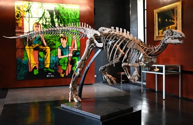 This photograph taken in Paris on September 7, 2022 shows the fossilised skeleton of a Zephyr, a dinosaur of the iguanodon family that lived over 150 million years ago, displayed next to Gilbert & George artwork “There”, during a press meeting ahead of the auction to be held on October 20, 2022 at the Paris auction house Drouot. (Photo by Bertrand Guay/AFP Photo)